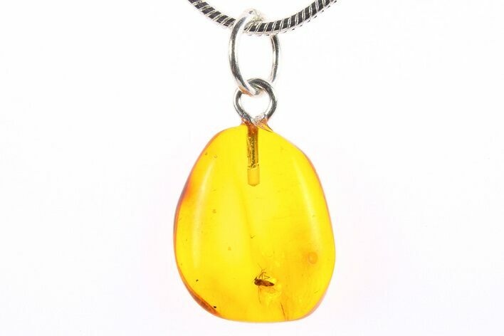Polished Baltic Amber Pendant (Necklace) - Contains Fly! #273764
